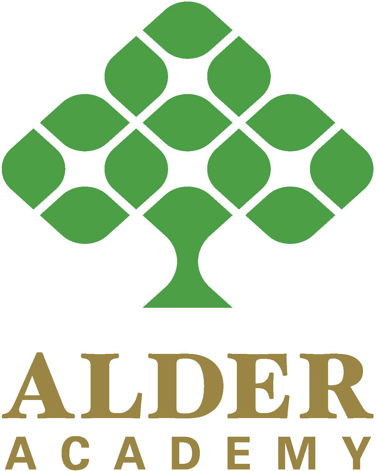 Alder Academy